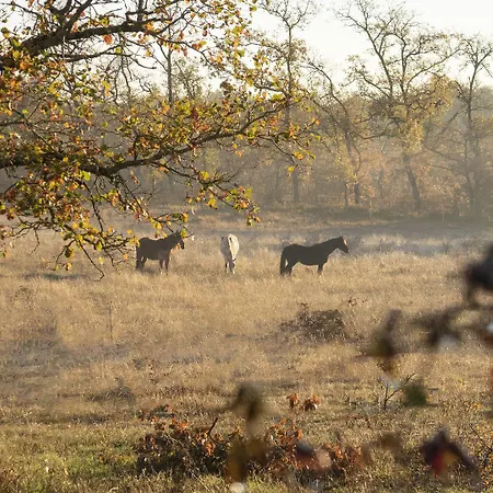 Mas De Peyrelongue Nocleg ze śniadaniem Corn