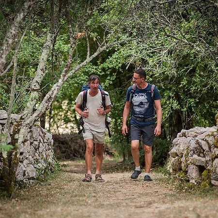 Mas De Peyrelongue Corn