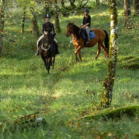 Mas De Peyrelongue Corn