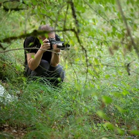 Couette-café Mas De Peyrelongue *
