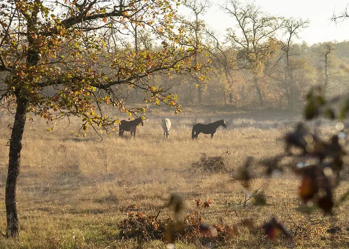 Mas De Peyrelongue Panzió Corn
