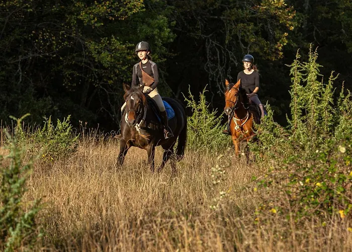 Mas De Peyrelongue *