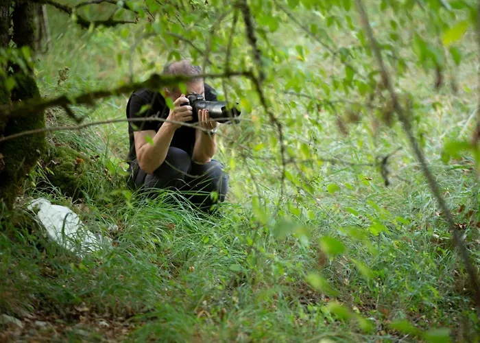 Panzió Mas De Peyrelongue *