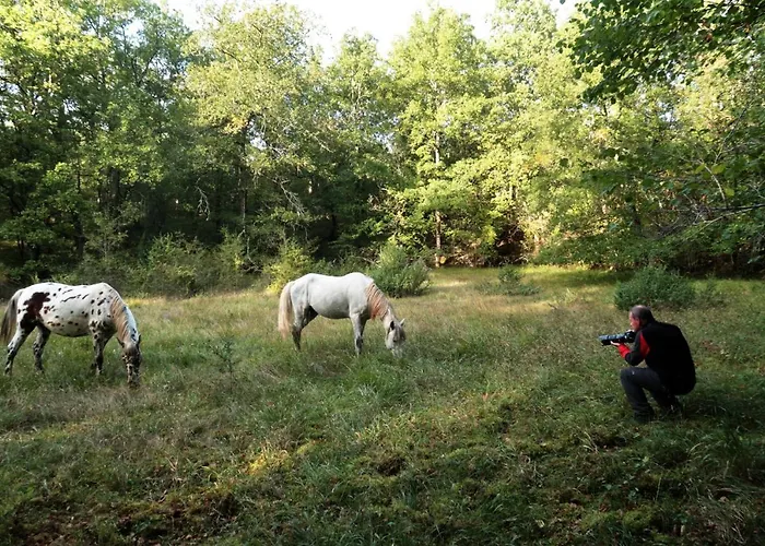 Mas De Peyrelongue Corn