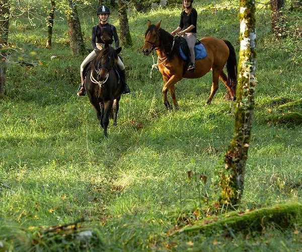 Mas De Peyrelongue Corn